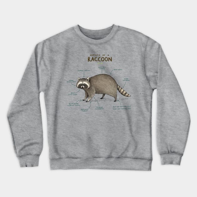 Anatomy of a Raccoon Crewneck Sweatshirt by Sophie Corrigan
